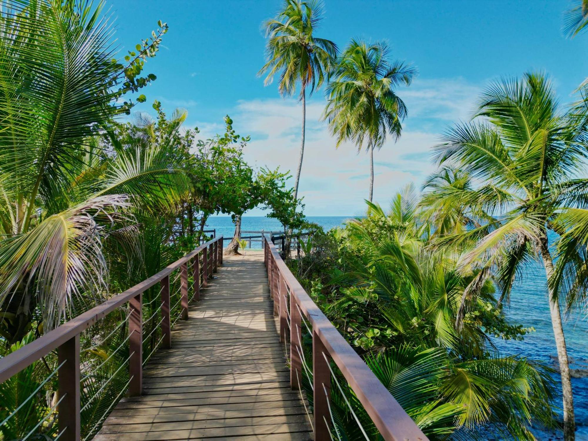 Oso Perezoso Pool Villa Puerto Viejo de Talamanca Luaran gambar