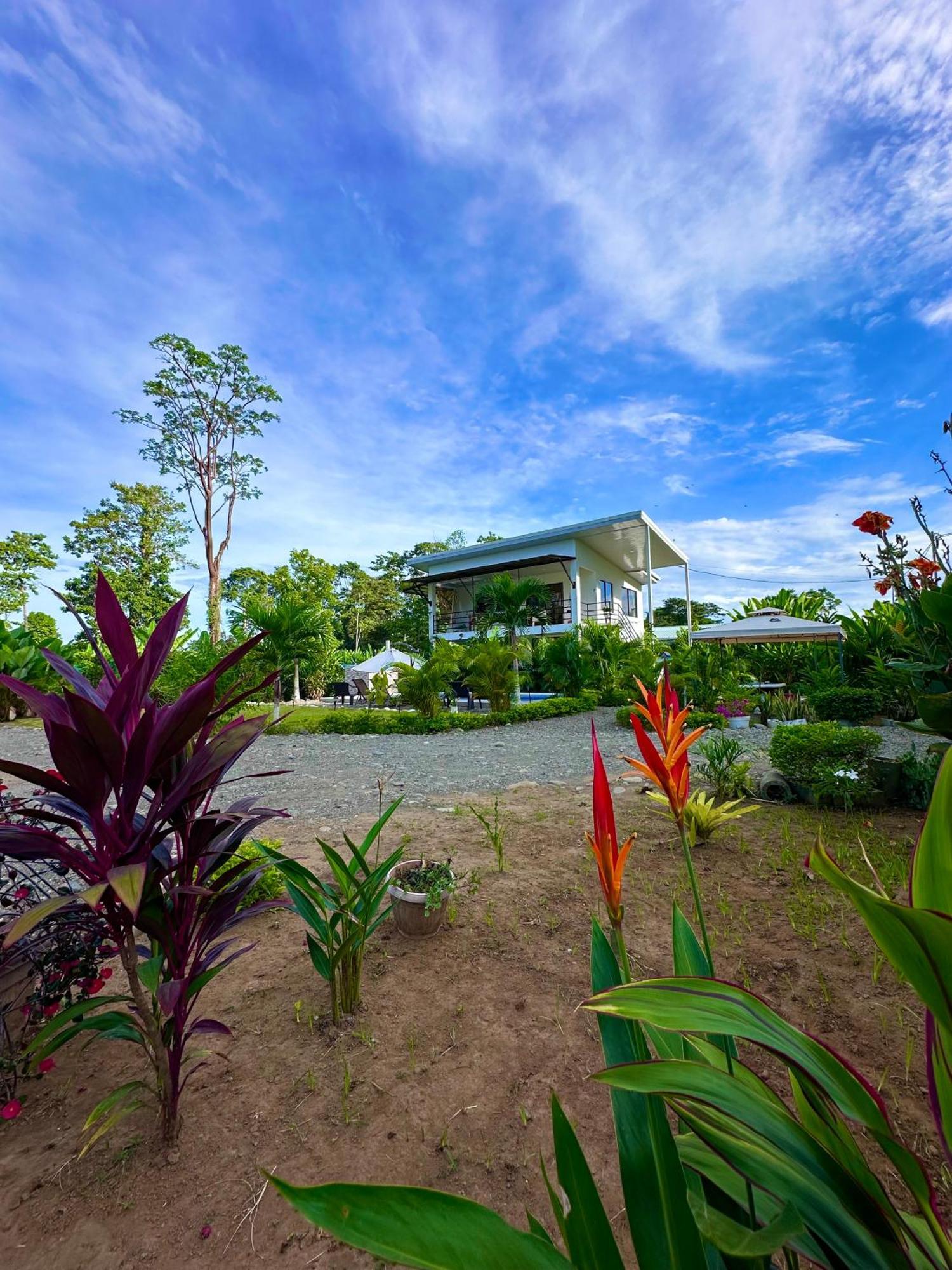 Oso Perezoso Pool Villa Puerto Viejo de Talamanca Luaran gambar