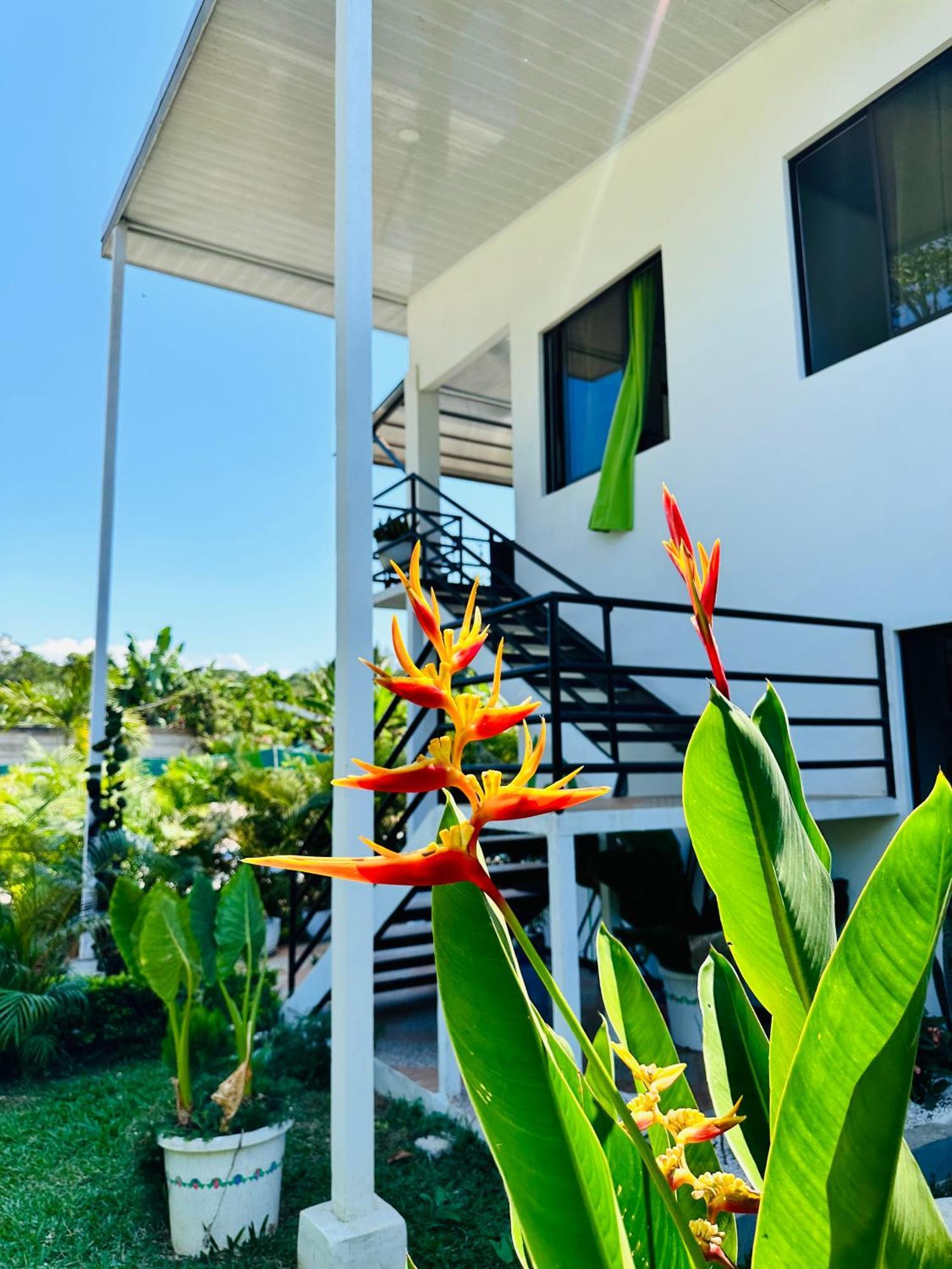 Oso Perezoso Pool Villa Puerto Viejo de Talamanca Luaran gambar