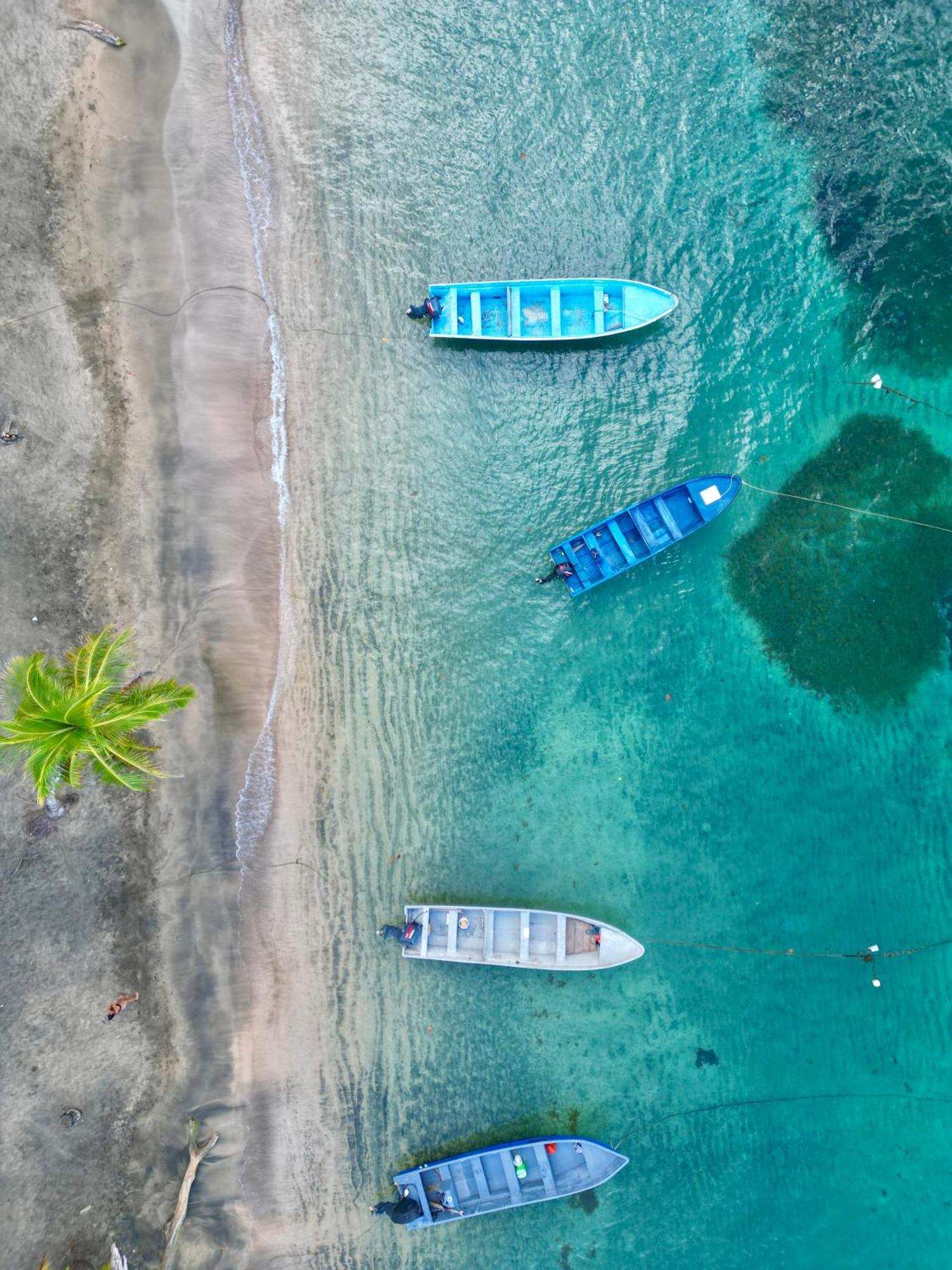 Oso Perezoso Pool Villa Puerto Viejo de Talamanca Luaran gambar